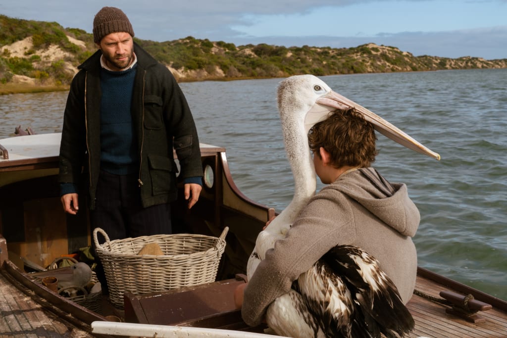 Storm Boy - Official selection of Compassion Canada Movie Month